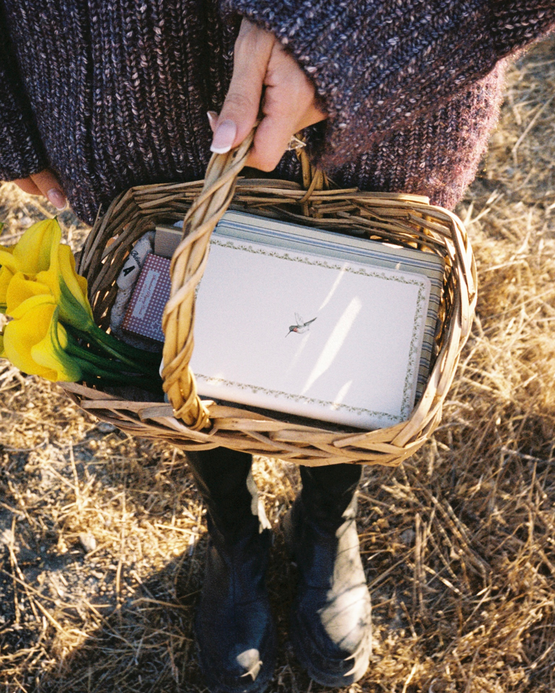 Hummingbird Kindle Case